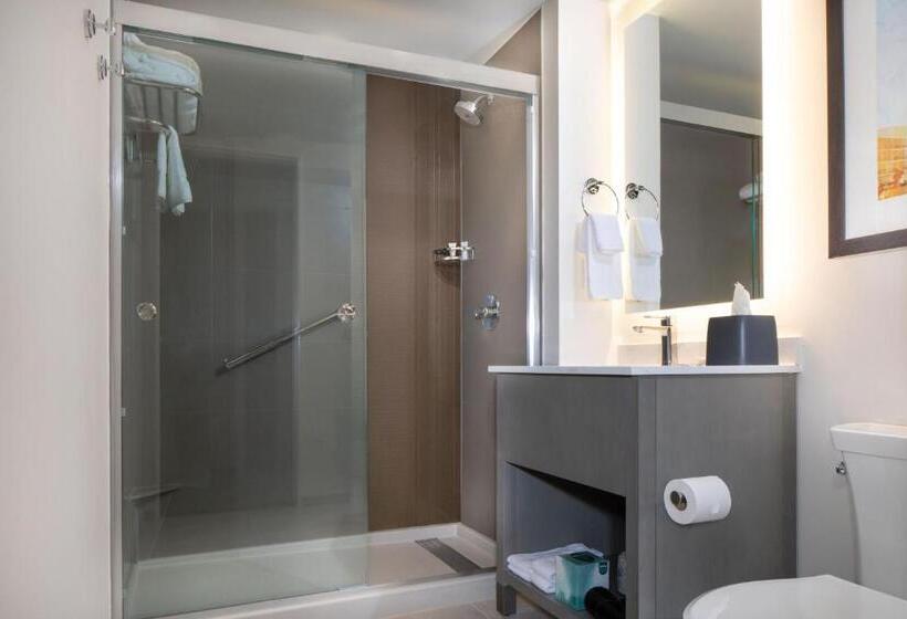 Люкс Кровать Квин, Hyatt House Lewes Rehoboth Beach