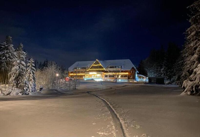 Номер Стандарт, Berghaus Freiburg   Appartement Hotel Auf Dem Schauinsland