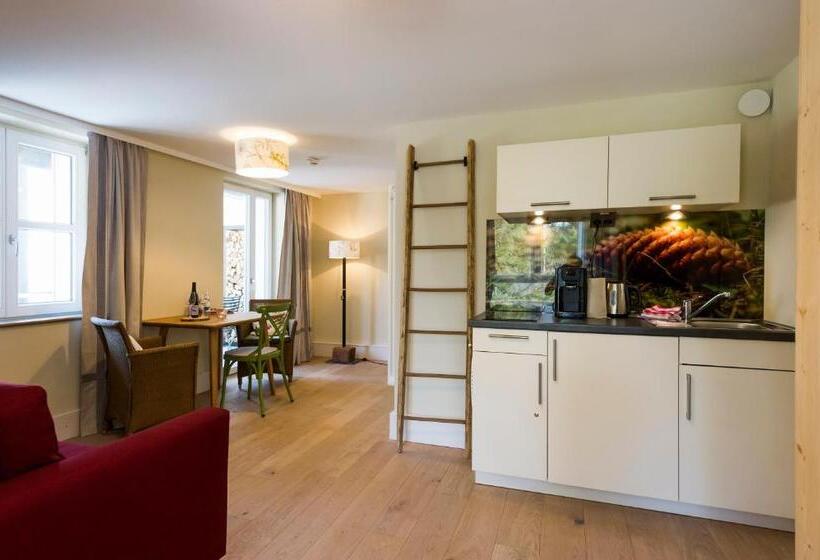 Студия Стандарт, Berghaus Freiburg   Appartement Hotel Auf Dem Schauinsland