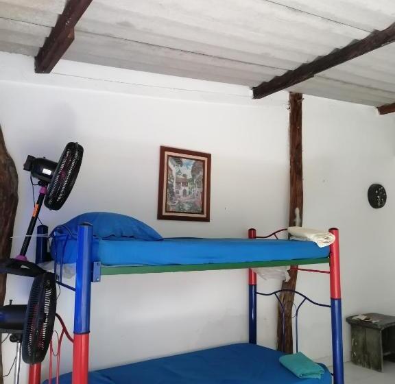 스탠다드 룸, Galerazambahostal