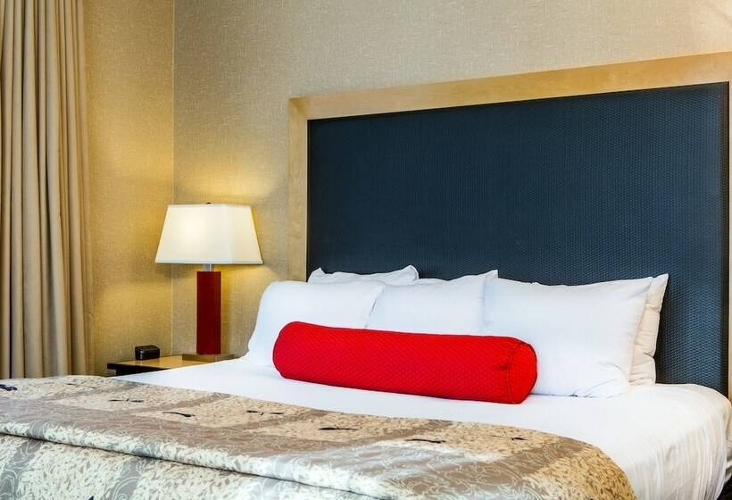 Люкс, Cambria Hotel Akron   Canton Airport