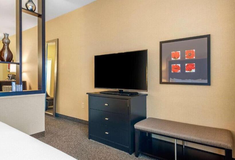 Люкс Кровать Кинг, Cambria Hotel Akron   Canton Airport