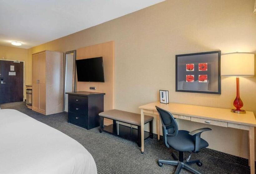Номер Стандарт, Cambria Hotel Akron   Canton Airport