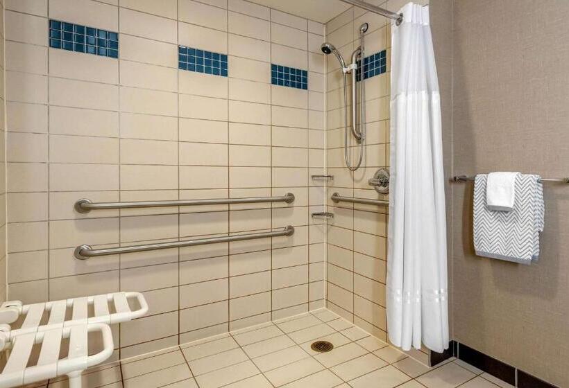 Номер Стандарт Кровать Кинг Адаптированный для Инвалидов, Cambria Hotel Akron   Canton Airport