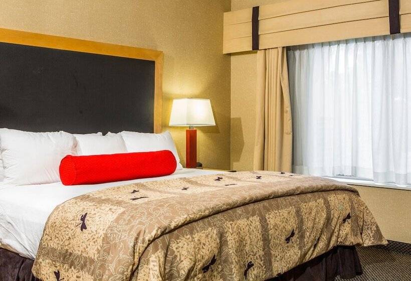 Люкс Адаптированный для Инвалидов, Cambria Hotel Akron   Canton Airport