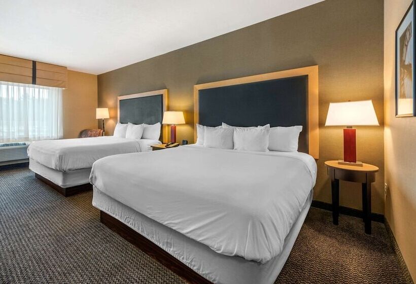 Номер Стандарт, Cambria Hotel Akron   Canton Airport