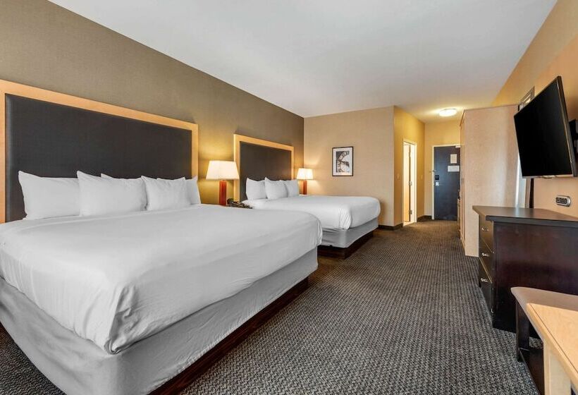 Номер Стандарт, Cambria Hotel Akron   Canton Airport