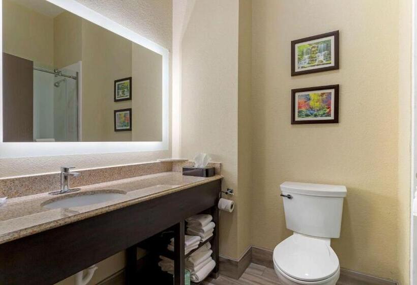 스위트 킹사이즈 침대, Comfort Suites Kingwood Houston North