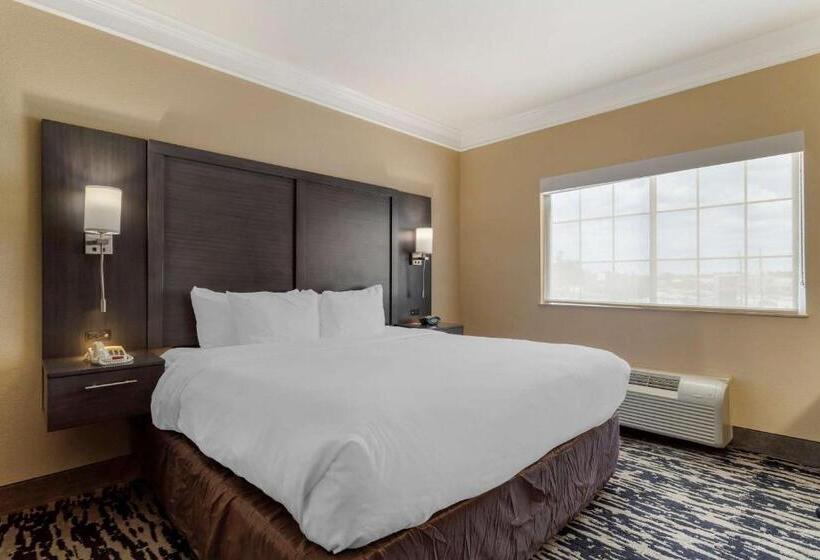 스위트 킹사이즈 침대, Comfort Suites Kingwood Houston North