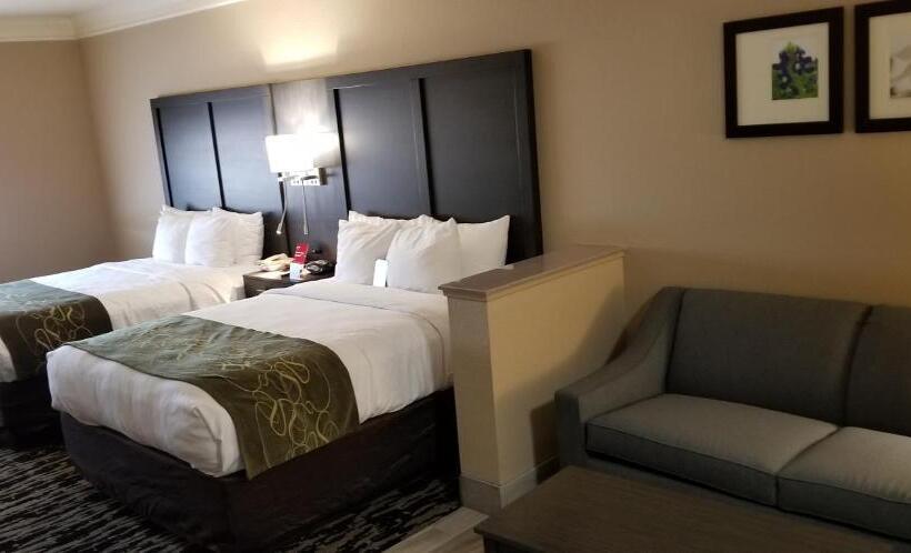 장애인을 위한 스위트, Comfort Suites Kingwood Houston North