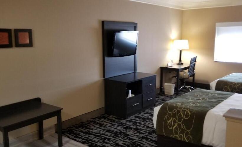 장애인을 위한 스위트, Comfort Suites Kingwood Houston North