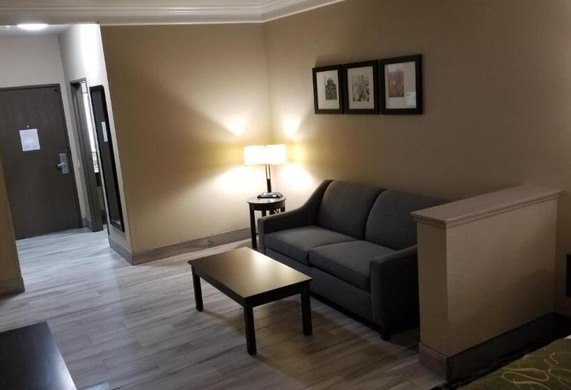 장애인을 위한 스위트, Comfort Suites Kingwood Houston North