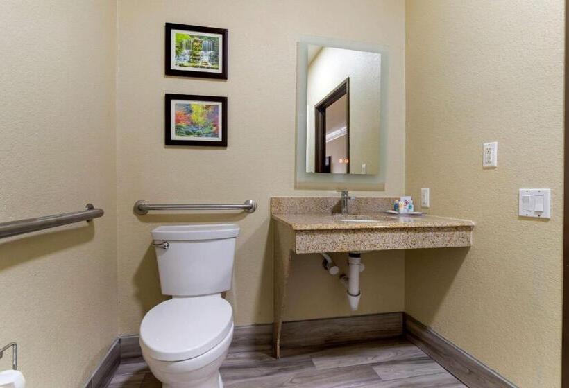 장애인을 위한 스위트, Comfort Suites Kingwood Houston North