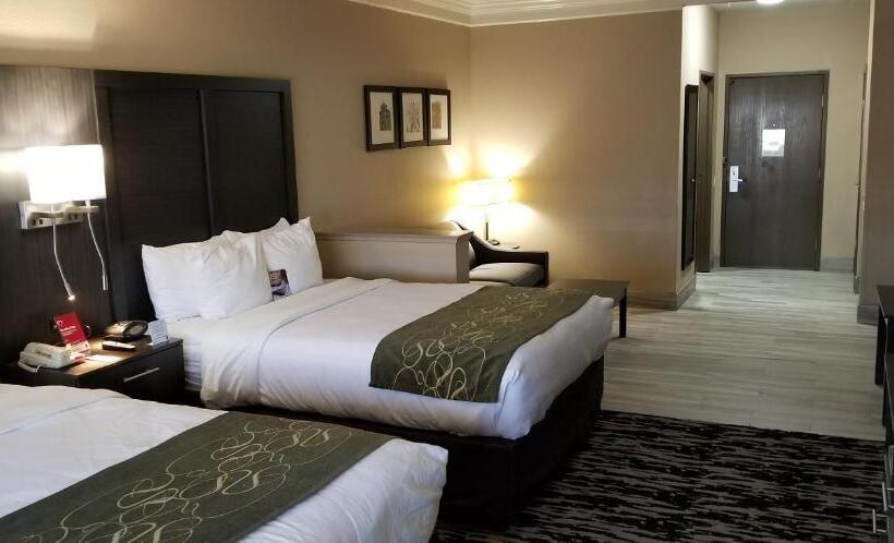 스위트, Comfort Suites Kingwood Houston North