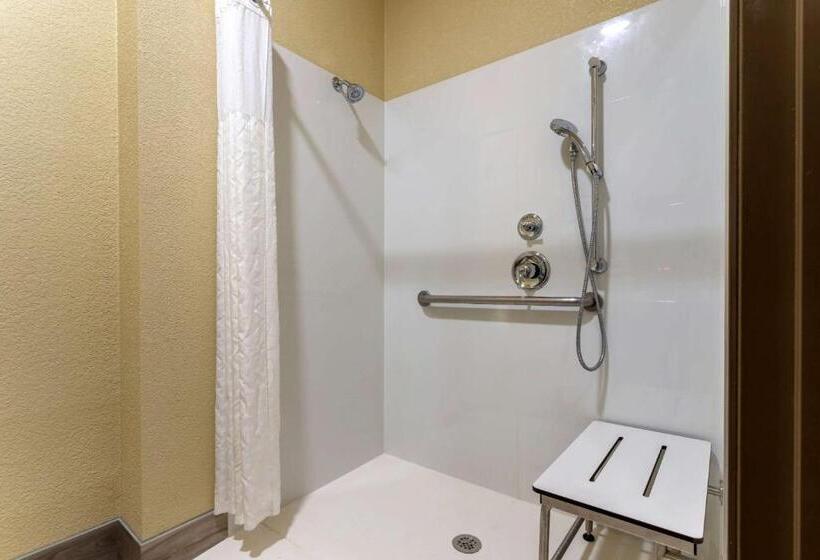 장애인을 위한 스위트, Comfort Suites Kingwood Houston North