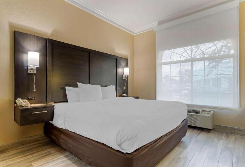 장애인을 위한 스위트, Comfort Suites Kingwood Houston North