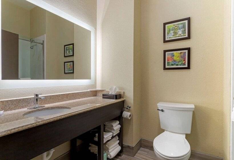 스위트, Comfort Suites Kingwood Houston North