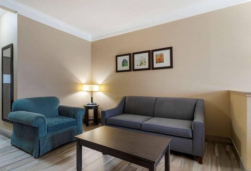 스위트, Comfort Suites Kingwood Houston North