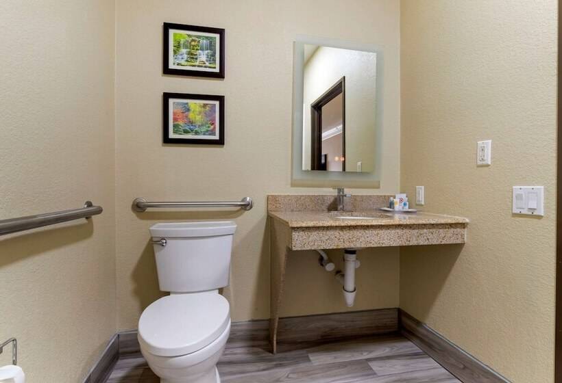 장애인을 위한 스위트, Comfort Suites Kingwood Houston North