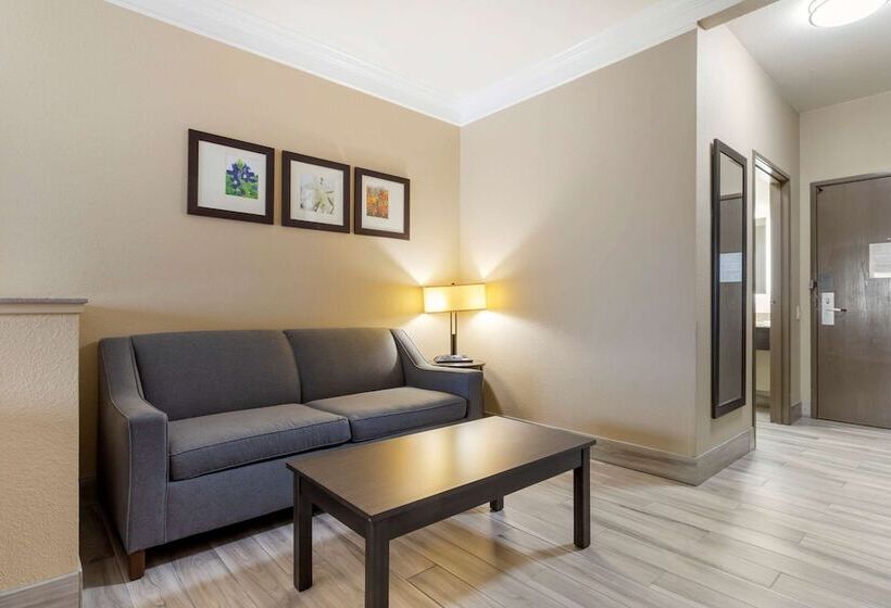 스위트, Comfort Suites Kingwood Houston North