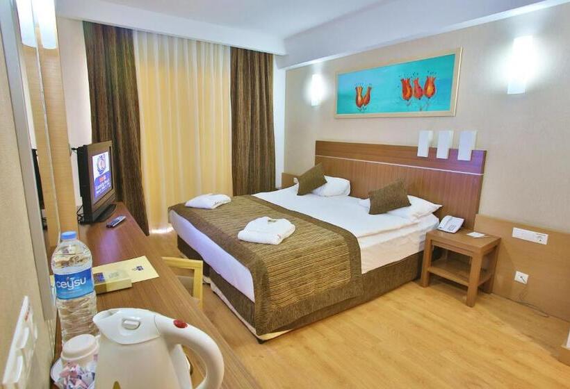 带海景的标准房, Sunis Kumköy Beach Resort Hotel & Spa