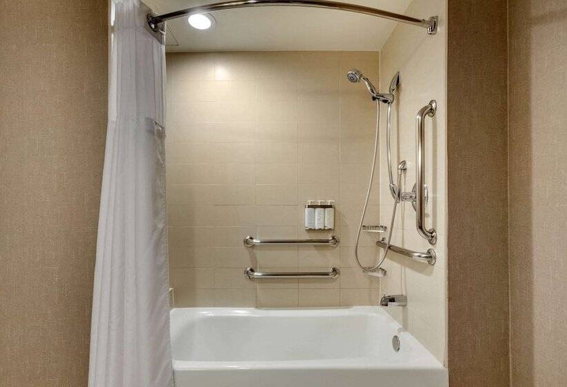 Люкс Адаптированный для Инвалидов, Cambria Hotel Denver International Airport