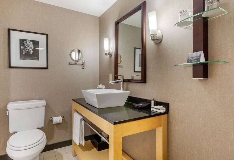 Люкс Адаптированный для Инвалидов, Cambria Hotel Denver International Airport