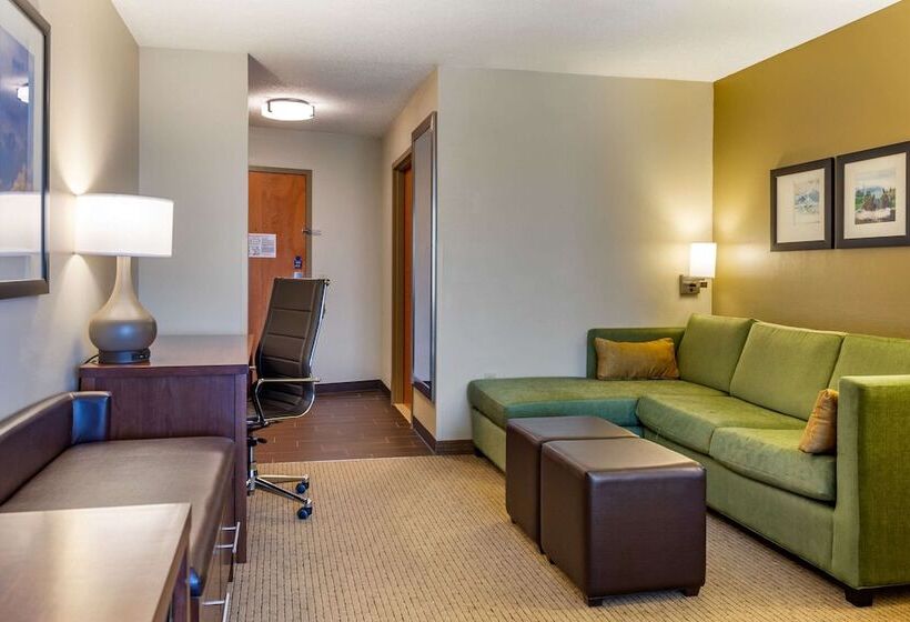 Люкс, Comfort Suites Amish Country