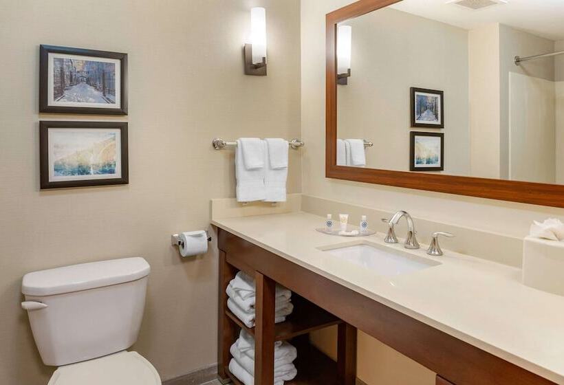 Люкс, Comfort Suites Amish Country