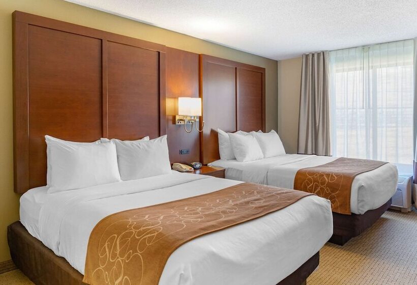 Люкс, Comfort Suites Amish Country