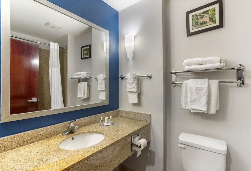 Люкс, Comfort Suites Atlanta Airport