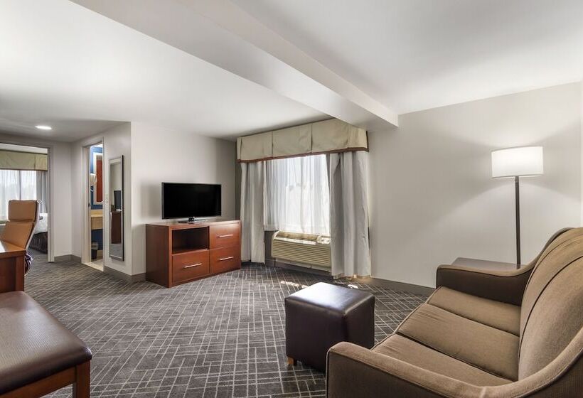 Люкс, Comfort Suites Atlanta Airport