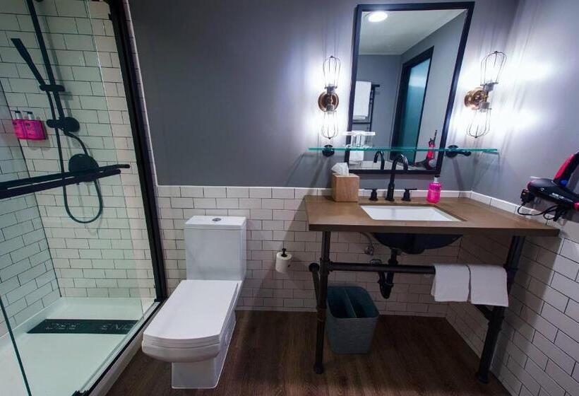 스탠다드 룸 1층, Moxy Phoenix Tempe/asu Area