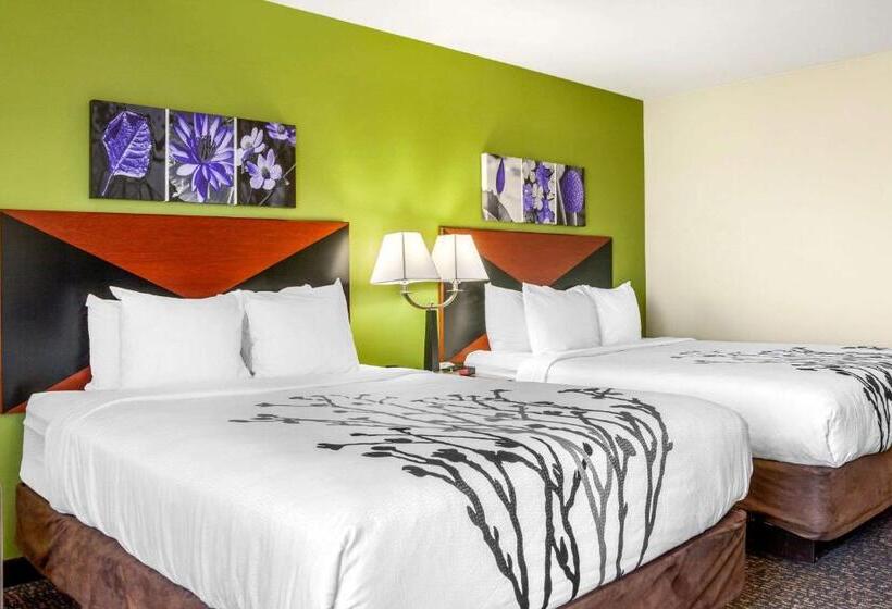 标准间, Sleep Inn & Suites Airport