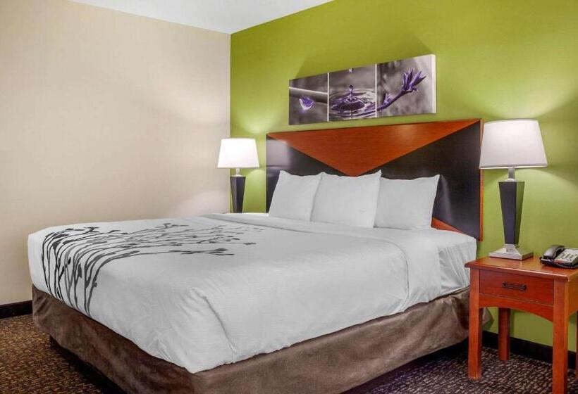适合残疾人士使用的带超级大床的标准间, Sleep Inn & Suites Airport