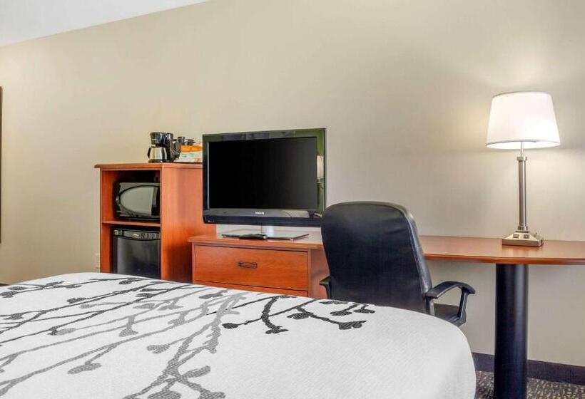 适合残疾人使用的标准间, Sleep Inn & Suites Airport