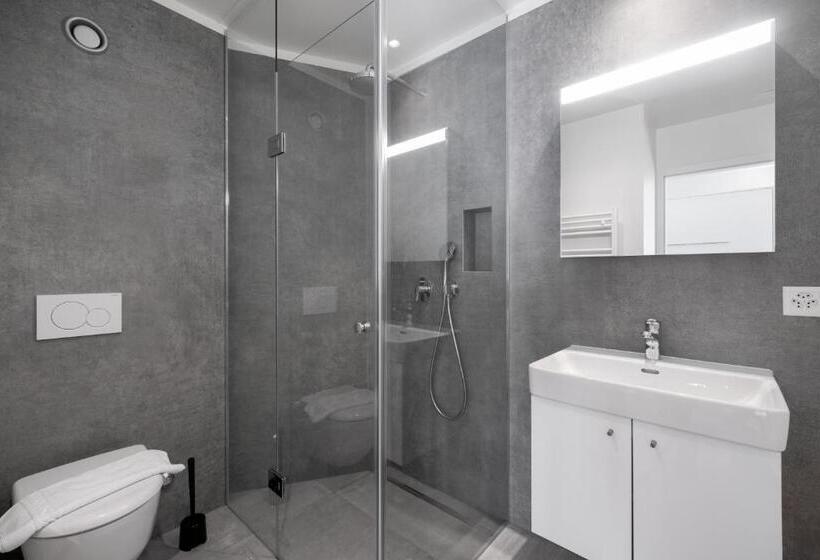 Студия Стандарт, The Studios Montreux   Swiss Hotel Apartments