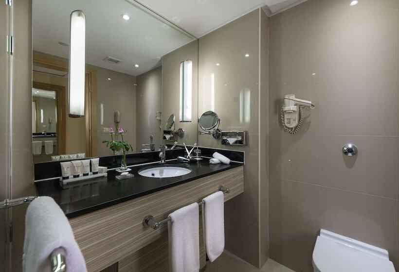 سوییت اجرایی, Radisson Blu Hotel, Cairo Heliopolis