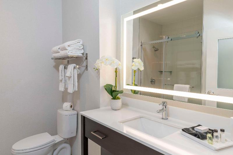 اتاق استاندارد با تخت بزرگ, Cambria Hotel Copper Mountain