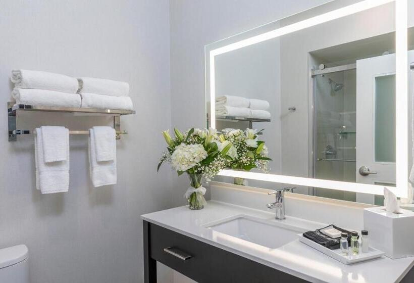 اتاق استاندارد با تخت بزرگ برای معلولان, Cambria Hotel Copper Mountain