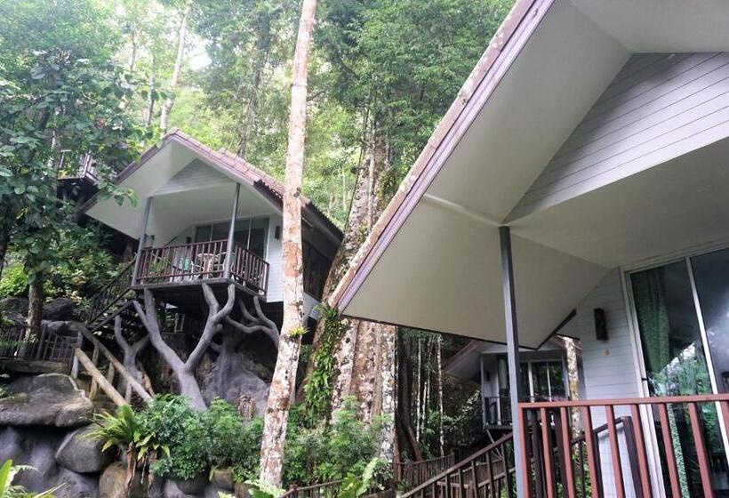 Бунгало Стандарт, Rock And Tree House Resort