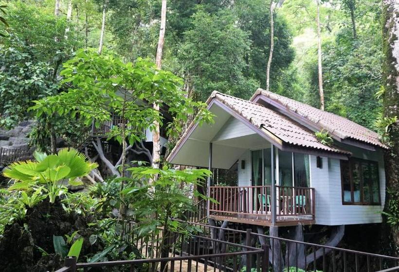 Бунгало Стандарт, Rock And Tree House Resort