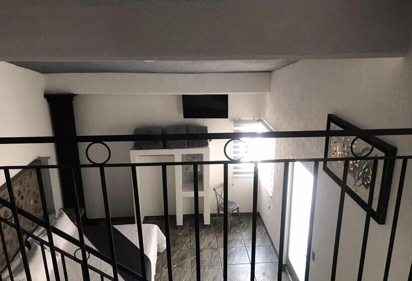 Family Suite, Nuevo Bernal
