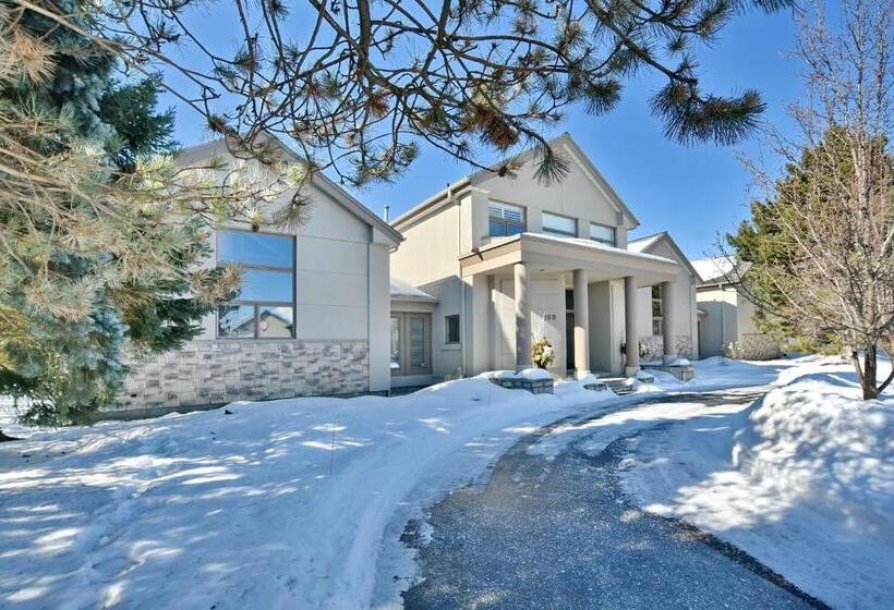 带1个卧室的公寓, Blue Mountains Bed And Breakfast