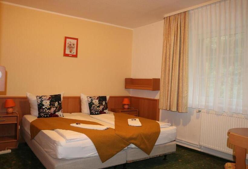 장애인을 위한 스탠다드 룸, Waldhotel Harz Ilsenburg