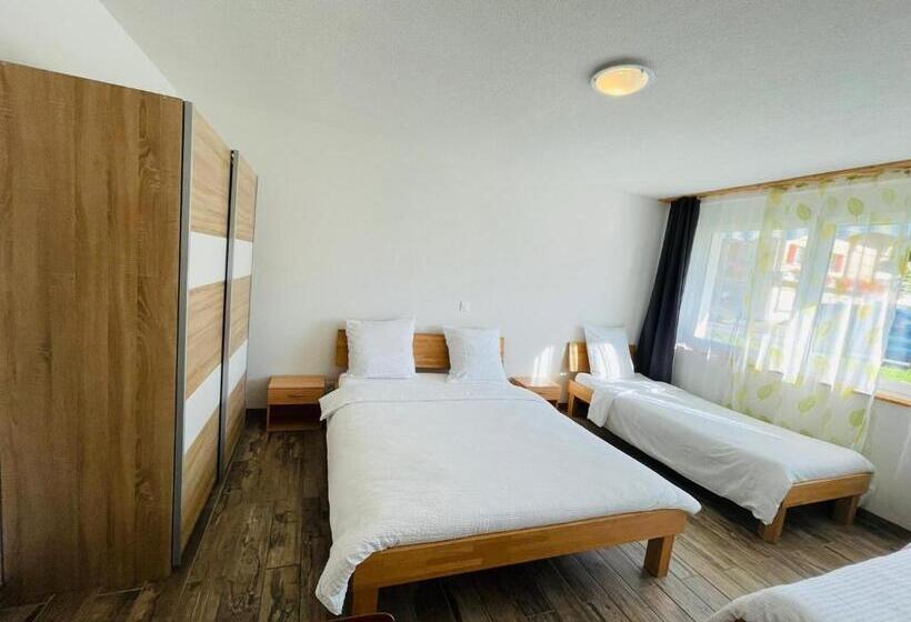 Студия Стандарт, Swiss Chalet Holidays Ringgenberg