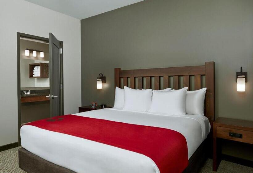 패밀리 스위트, Great Wolf Lodge Manteca
