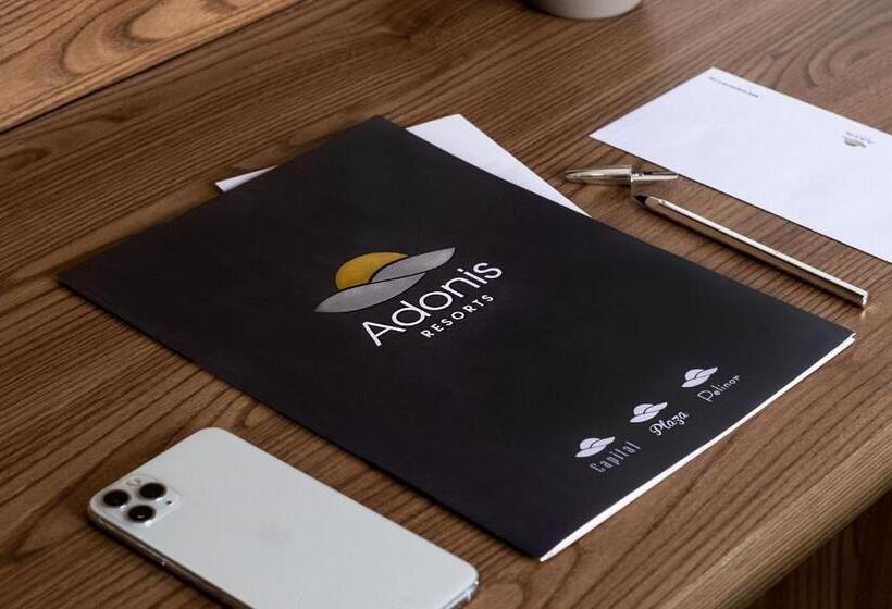 Номер Basic, Adonis Capital