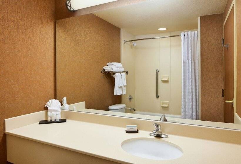 Sviitti King-vuode, Embassy Suites By Hilton Charleston Airport Convention Ctr