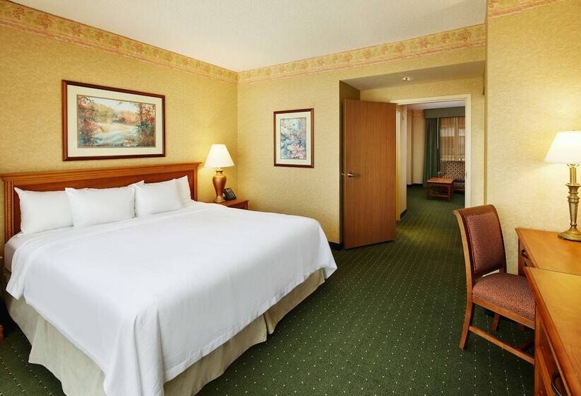 Sviitti King-vuode, Embassy Suites By Hilton Charleston Airport Convention Ctr